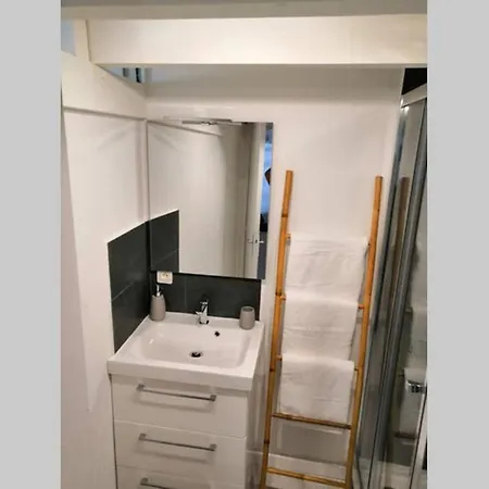 Hypercentre ! De Charme Avec Mezzanine Appartement