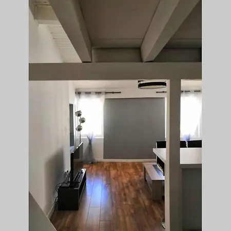 Appartement Hypercentre ! De Charme Avec Mezzanine